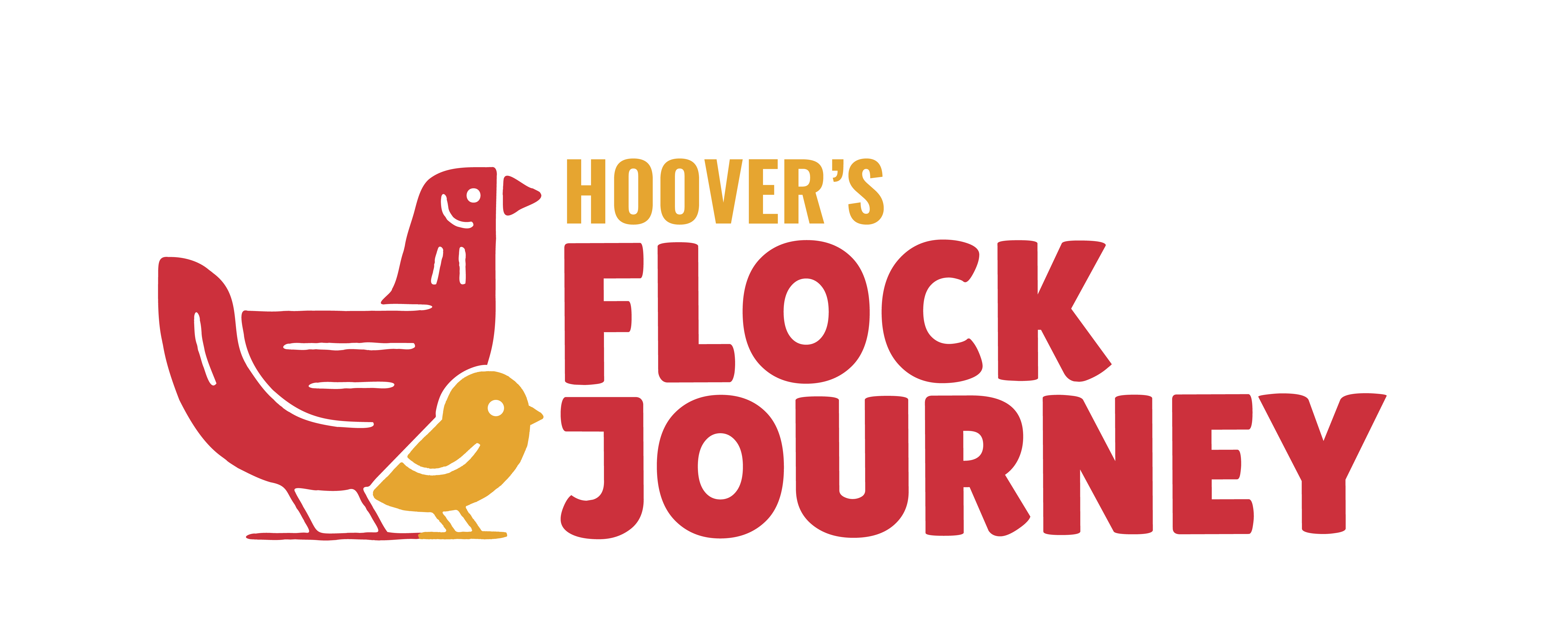 Flock Journey by Hoover's Hatchery