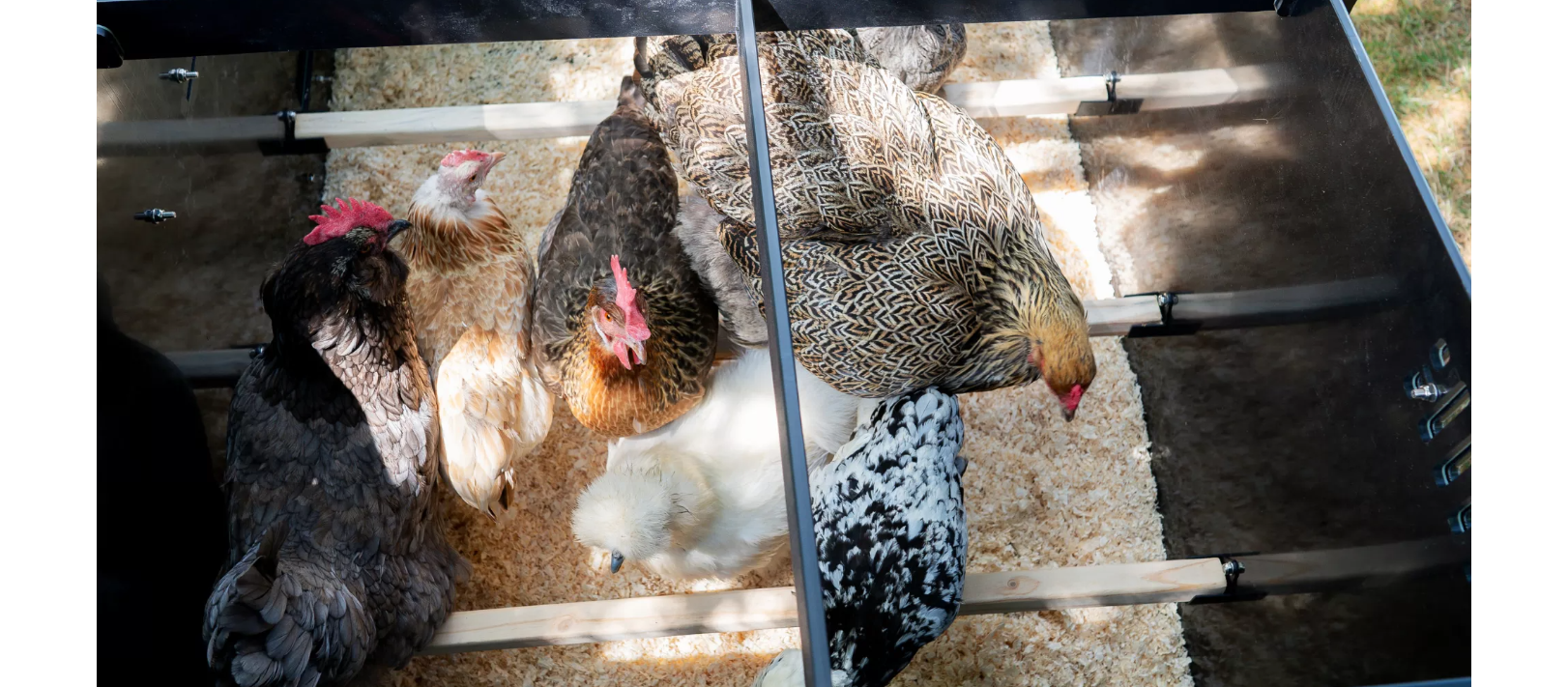 Detachable Nestboxes