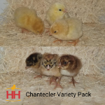 Picture of Chantecler Variety Pack