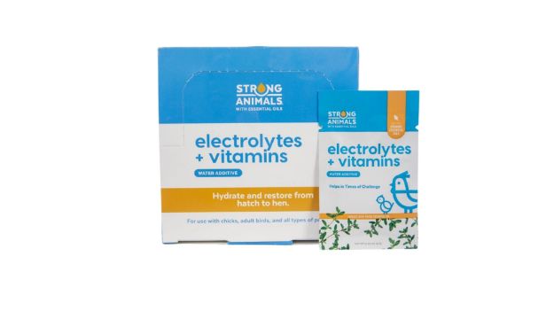 Picture of Electrolytes & Vitamins- 30 pack