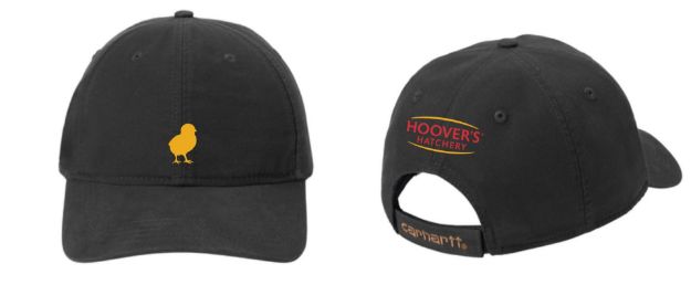 Picture of Chick Ball Cap