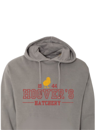 Picture of University Hoodie