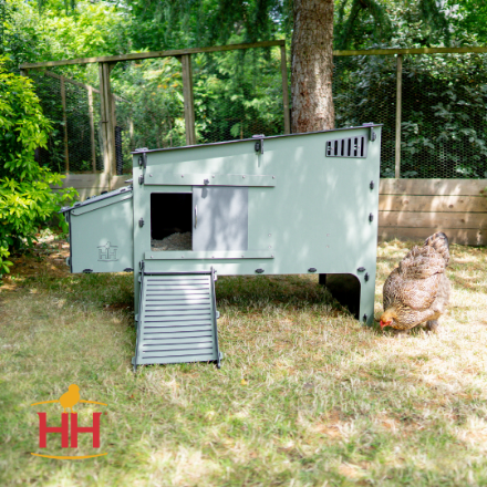 Picture of Lean-To Easy Clean Chicken Coop Web, 10 Chicken Capacity